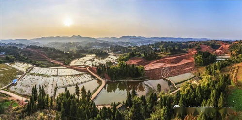 大美中国 全国摄影大赛投稿精品欣赏 张斌作品 绿色大通道