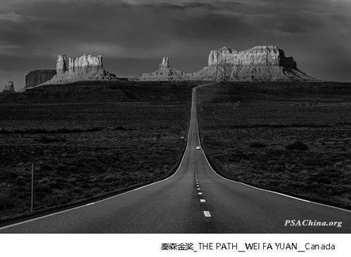第十七届PSAChina国际摄影大赛获奖作品欣赏