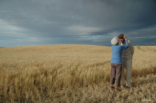 彩色摄影大赛作品精选赏析
