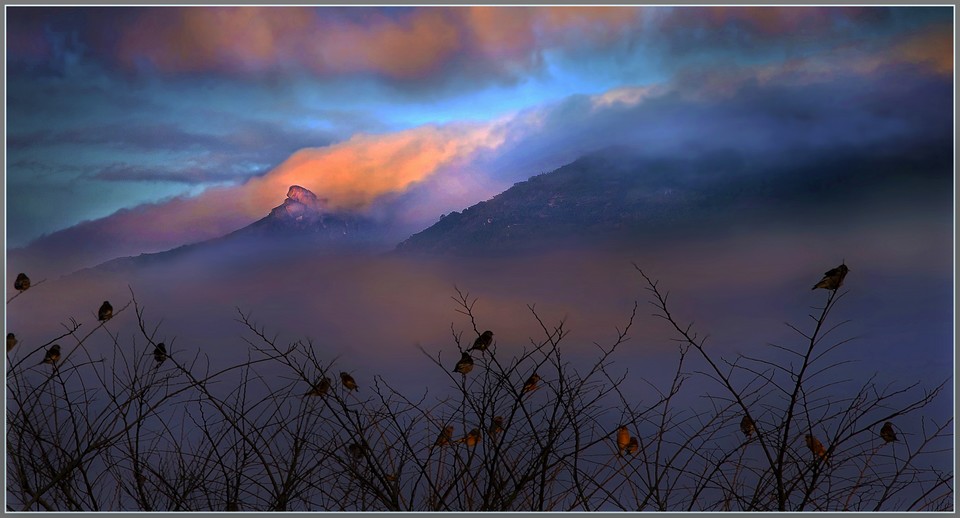 首石凝云 我家长乐——福州新闻网摄影大赛揭开帷幕