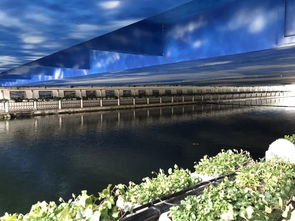 春光随风动 影像展现生活之美——七专部第二届春季摄影比赛圆满结束