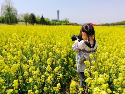 定格世园“醉美花海”，全民摄影大赛获奖作品精彩揭晓