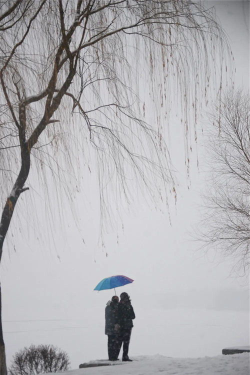 大美中国 全国摄影大赛闫修森投稿精品展示